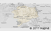 Shaded Relief Panoramic Map of Sre Ambel, desaturated