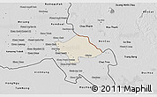 Shaded Relief 3D Map of Svay Teap, desaturated