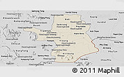 Shaded Relief Panoramic Map of Takeo, desaturated