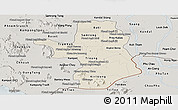 Shaded Relief Panoramic Map of Takeo, semi-desaturated