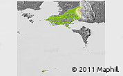 Physical Panoramic Map of Tonle Sap, desaturated