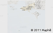 Shaded Relief Panoramic Map of Tonle Sap, lighten, semi-desaturated