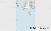 Silver Style Map of Prey Noup