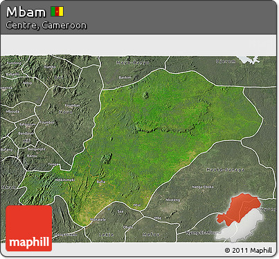 Satellite 3D Map of Mbam, semi-desaturated