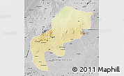 Physical Map of Mefou, desaturated