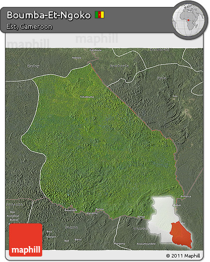 Satellite 3D Map of Boumba-Et-Ngoko, semi-desaturated