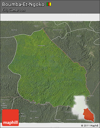 Satellite 3D Map of Boumba-Et-Ngoko, semi-desaturated