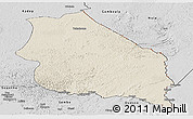 Shaded Relief Panoramic Map of Boumba-Et-Ngoko, desaturated