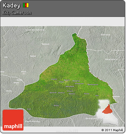 Satellite 3D Map of Kadey, lighten, semi-desaturated