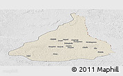 Shaded Relief Panoramic Map of Kadey, lighten, desaturated