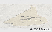 Shaded Relief Panoramic Map of Kadey, lighten