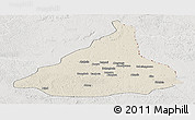 Shaded Relief Panoramic Map of Kadey, lighten, semi-desaturated