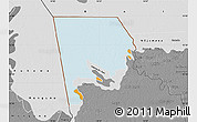 Political Map of Logone-Et-Chari, desaturated