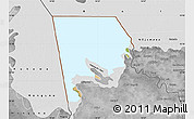 Satellite Map of Logone-Et-Chari, desaturated