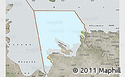Satellite Map of Logone-Et-Chari, semi-desaturated