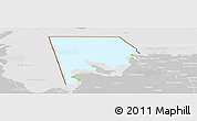 Physical Panoramic Map of Logone-Et-Chari, lighten, desaturated