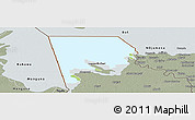Physical Panoramic Map of Logone-Et-Chari, semi-desaturated