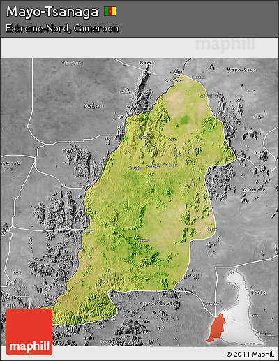 Satellite 3D Map of Mayo-Tsanaga, desaturated