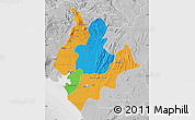 Political Map of Littoral, lighten, desaturated