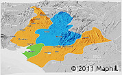 Political Panoramic Map of Littoral, lighten, desaturated