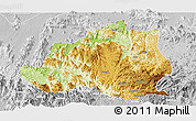 Physical Panoramic Map of Menchum, lighten, desaturated