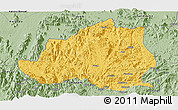 Savanna Style Panoramic Map of Menchum