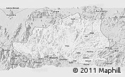 Silver Style Panoramic Map of Menchum