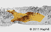 Physical Panoramic Map of Mezam, lighten, desaturated