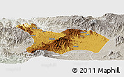 Physical Panoramic Map of Mezam, lighten, semi-desaturated