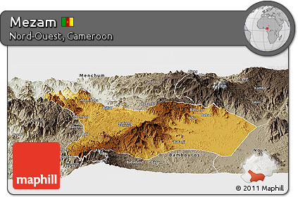 Physical Panoramic Map of Mezam, semi-desaturated