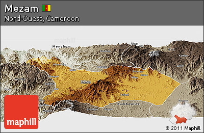 Physical Panoramic Map of Mezam, semi-desaturated