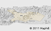 Shaded Relief Panoramic Map of Mezam, desaturated