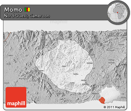 Gray 3D Map of Momo