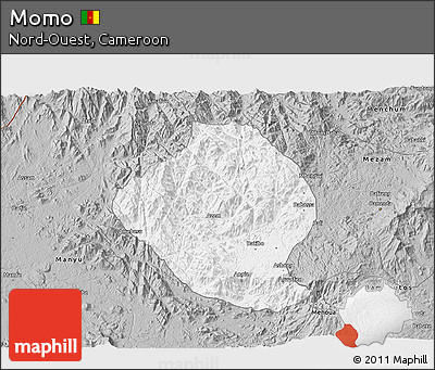 Gray 3D Map of Momo