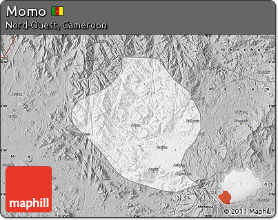 Gray Map of Momo