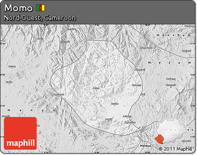 Silver Style Map of Momo
