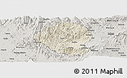 Shaded Relief Panoramic Map of Momo, semi-desaturated