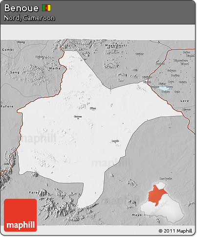 Gray 3D Map of Benoue