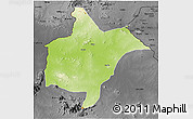 Physical 3D Map of Benoue, darken, desaturated