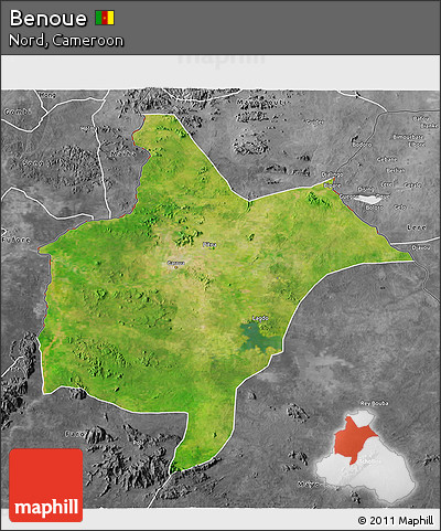 Satellite 3D Map of Benoue, desaturated