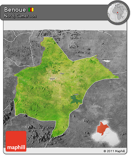 Satellite 3D Map of Benoue, desaturated