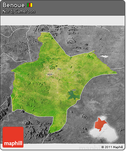 Satellite 3D Map of Benoue, desaturated