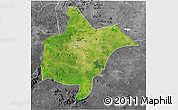 Satellite 3D Map of Benoue, desaturated