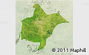 Satellite 3D Map of Benoue, lighten