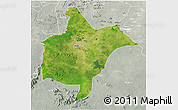 Satellite 3D Map of Benoue, lighten, semi-desaturated