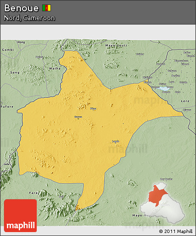 Savanna Style 3D Map of Benoue