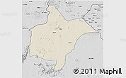 Shaded Relief 3D Map of Benoue, desaturated