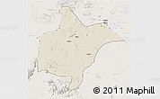 Shaded Relief 3D Map of Benoue, lighten