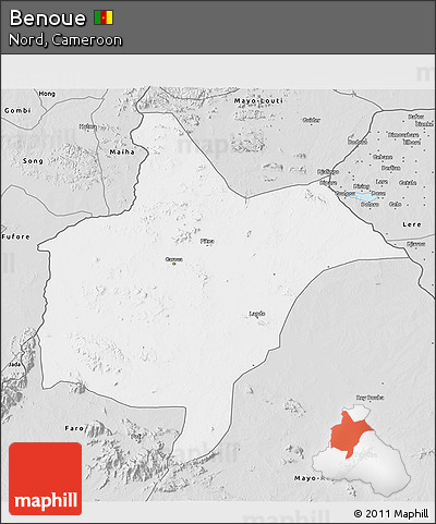 Silver Style 3D Map of Benoue