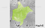 Physical Map of Benoue, desaturated